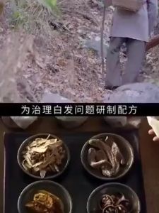 【Local Stock】Polygonum Herbal Shampoo Black Hair Shampoo 300ml White Hair Black Hair Shampoo Hair Growth Cover Grey Hair Hair Treatment