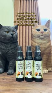 Clever Solutions - Anti Scabies Plus Obat Jamur Kucing Scabies Gudik Demodex Impetigo Kutu