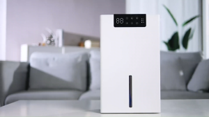 DEG Digital Dehumidifier Air Purifier Power Saving Clean Air Dustproof Filter with 2.4L Water Tank