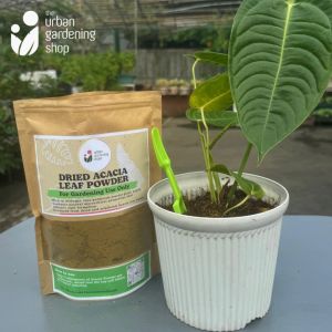 Dried Acacia Leaves Powder - All Natural Soil Additive for Garden Soil and Potting Mix