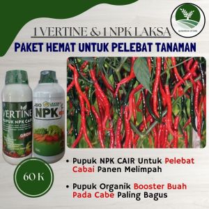 Terlaris Pupuk Lengkap Vertine + NPK LAKSA Untuk Pelebat Buah Cabe Merah Terbaik - Obat Booster Buah Cabe Berbobot Besar dan Berat REKOMENDED
