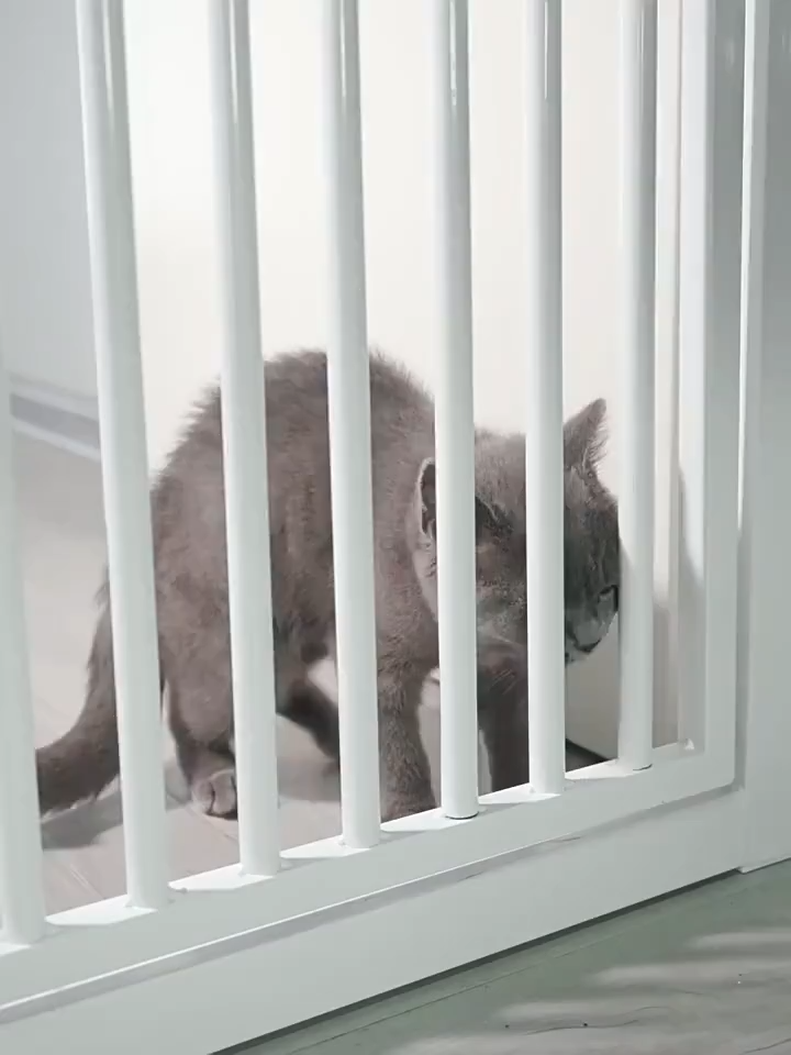 200CM Extra Tall Cat Gatefor Pet Dog Cat Security Retractable Pet Fence Enclosure Guard Kitchen Doorway