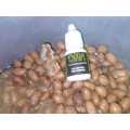 KACANG PRESTO UMPAN MANCING IKAN UMPAN BAWAL GALATAMA 100Gram. 