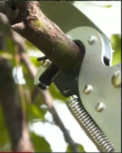 KEELAT High Branch Shears Saw 1.8-6.5 Meters Telescopic High Altitude Pruning Saw Tree Cutter Coconut Picker Fruit-Pick