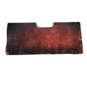 Vehicle Custom Welcome Carpet Floor Mat