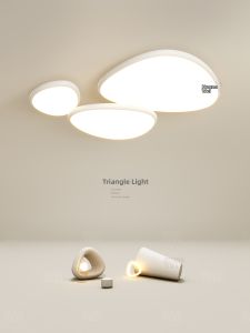 Modern Creative Personality LED Ceiling Light