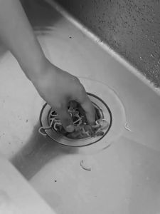 MLADEN Kitchen Sink Strainer Cactus Kitchen Sink Wash Basin Filter Drain Basket Sewer Leftovers Garbage Food Collector Filter