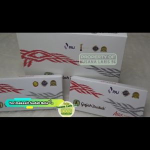 Gajah Duduk Asia Kembang Sarung Gajah Duduk Asia Kembang  Sarung Gajah Duduk Gajah Duduk