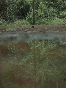 🚚การจัดส่งในประเทศไทย🚚จัดส่งในประเทศไทยโต๊ะตั้งแคมป์อลูมิเนียมอัลลอยด์แบบพกพาโต๊ะพับปรับความสูงได้โต๊ะชายหาดที่ปรับได้สำหรับหาดแคมป์ปิ้งกลางแจ้ง