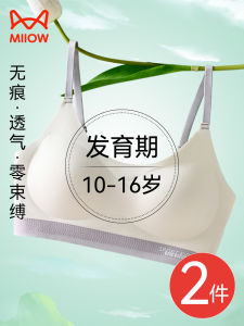 Catwoman Student Underwear Thin Style Teenage Girl Bra Seamless Breathable Nylon Fabric Fixed Strap Full Cup Air Cushion Pad
