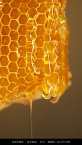 B1T1 - Pure Bukidnon Honey 100% Natural Raw Philippine Honey | No Sugar Added
