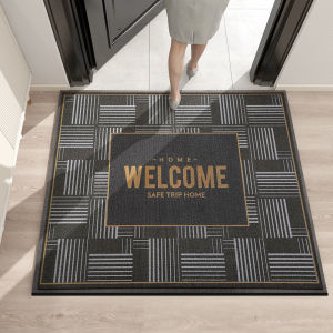 Luxury Entrance Mat Door Mat Dirt Resistant No-Wash Modern Simple Style Hall Mat Machine Knitted Snowy Silk Material Dust Removal