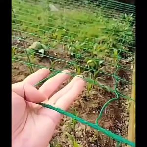 Gardening Net: Protecting Plants & Growing Melons & Fruits