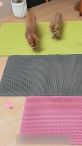 🔥Cat Litter Mat Anti-Tracking – 40% OFF! Free Litter Scoop EVA Double Layer Easy to Clean