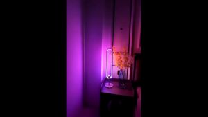 [READY Stock🌈] Dimmable RGB LED light strip Romantic atmosphere U shape table lamp Oval shape night lamp bedside lamp with free remote control