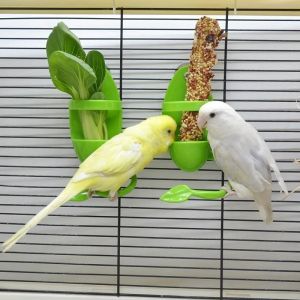 Parrot Feeder Dual Function Veggie Clip Cuttlebone Holder Spoon Perch Bird Cage Chew Proof Plastic Accessory Bird Vegetable Rack