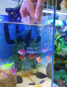 Aquarium Dual Used Acrylic Fish Feeder Food Tray Feeding Cup两用喂食器（READY STOCK)