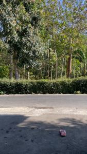 Vincent Lorent Kaos oblong lengan pendek bermotif print untuk pria dan wanita dewasa bahan pe 24s