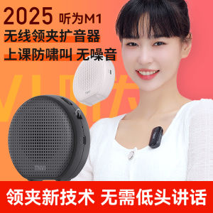 Wireless Lapel Style Beehive Amplifier Teacher Special Large Volume Machine for Class Teaching Professional Audio Equipment