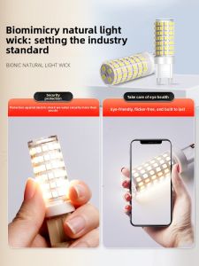 SUIYI | 3-Color LED Light Bulb with 2-Pin Plug