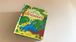 พร้อมส่ง หนังสือ Usborne Peep Inside Activity Book Lift-The-Flap | Board Book Dinosaurs | Zoo | Animal Homes | Farm | Snowy Places | 3D Flap Book | English Picture Book for Kids Toddler Bedtime Stories Bedtime Reading หนังสือเด็กภาษาอังกฤษ