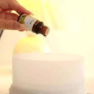 pewangi bilik Perfume Essential Oil 10ML Aroma Air Diffuser Water Soluble for Air Humidifier & Air Diffuser Ready Plant Aromatherapy fragrance perfume