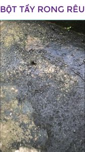 [FREESHIP] gói 500gr Bột tẩy sạch rong rêu diệt rong rêu ở sân gạch- tường nhà đóng rong rêu cây trồng và xát khuẩn chuồng trại hiệu quả