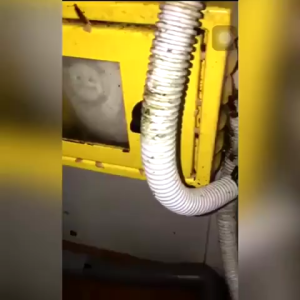 Cockroach Killer Gel Bait Ant Cockroach Gecko Killer Insecticide Gel Bait Semut Berkesan Ubat Easy Application