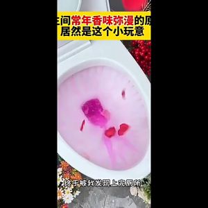 Toilet Bowl Cleaner 【5pcs / Box 】法式香水清洁棒多效马桶除臭洁厕棒强力除垢去污去黄留香洁厕灵