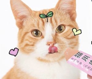 Cat Nutrition Bar 15g Fattening Hair cheek cat snacks