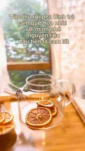 Trà Thảo Mộc Cam Quế Hoa Hồng Sấy Lạnh - Tăng Đề Kháng Giảm Mệt Thanh Lọc Bổ Sung C Sạch Miệng - Gói Đơn