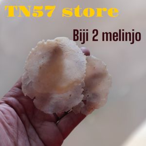 EMPING MELINJO KEBUMEN FULL KERING UK SEDANG (BIJI 2-3) PAKET USAHA PER 5KG