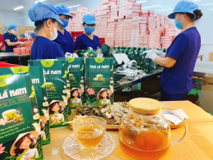 (Giá Sỉ) Trà lá nam Mộc Tâm núi rừng Tây Bắc g..iam cân thanh lọc cơ thể tiêu hóa ngủ ngon hộp 60 túi lọc