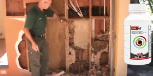 Anti-Bukbok for Wood Spray - 500ml: Effective Termite Control & Wood Preservatives