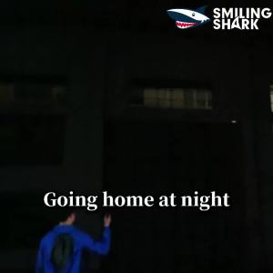 SMILING SHARK | Đèn Pin Mini COB Có Thể Sạc Lại Smiling Shark Đèn Pin Khẩn Cấp Chống Nước Siêu Sáng Để Bảo Trì Ô Tô Ngoài Trời TIP067