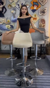 Minimalist Bar Stool Luxury Adjustable Height Chair with Backrest Home & Cafe Counter Stool
