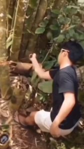 Kemeja Pria Jumbo Motif Lengan Pendek Premium Hem Big Size Cowok Oversized 5XL 6XL 7XL 8XL 9XL 10XL