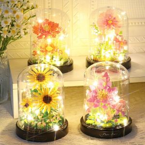 Đồ Chơi Khối Lắp Ráp Hoa Hướng Dương Hồng Hướng Ngày Lễ Tình Nhân Cho Bé Gái Đồ Chơi Giáo Dục Sáng Tạo Có Thể Lắp Ráp Từ Nhựa ABS