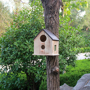 เรือนรังนกขนาดใหญ่กลางแจ้ง บ้านพักพันธุ์สิงโตน้ำลายไม้จริง สวนนิเวศสีเขียว เรือนรังนกปีกเล็ก บ้านพักนก สวนนิเวศ