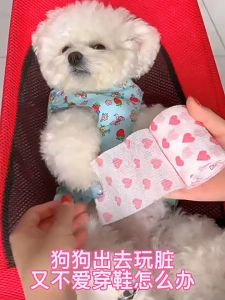 băng quấn chân tự dính bảo vệ móng và chân dành cho chó mèo - T3 PETS SHOP