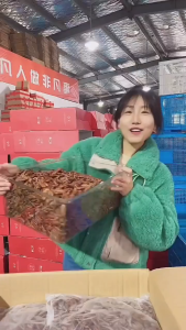 Original Flavor Pecan Nuts 500g Bulk Unbroken for Pregnant Women Snacks Healthy Longevity Tree Nut Products from Zhejiang
