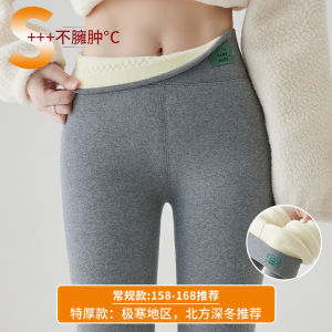 Quần Dài Ống Rộng Bằng Vải Nỉ Dày Đặc Cho Nữ Quần Dài Cotton Cạp Cao Ấm Áp Mùa Thu Đông Quần Dài Thường Ngày Quần Dài Cotton