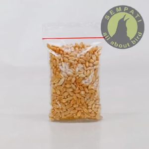SEMPATI Biji Gandum Rumput Kucing 50gr Benih Biji Rumput Gandum Makanan Kucing Kitten Cat Grass Wheat Grass Bibit Rumput Kucing Microgreen Seed