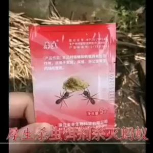 YXY Cockroach and Ant killing bait powder / Lipas & semut Serbuk Umpan berkesan sampai mati