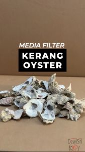 Oyster Shell Cangkang Kerang Tiram 1Kg Media Filter Air PH Kolam Ikan