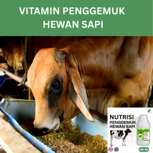 Vitamin Penggemuk Sapi Alami 250ml Nafsu Makan Naik Bobot Cepat Bertambah Maksimalkan Penggemukan