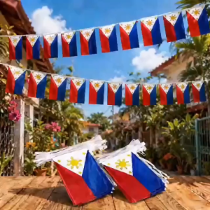 BINLU Philippine Flag Bunting Banner 15 Flags 5M Independence Day Decoration Party Supplies Event Decoration Outdoor Indoor Celebration Banner Ready Stock Manila Fast Shipping