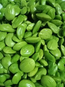 โปร สุดคุ้ม ‼️‼️ขนาด500กรัม ‼️สะตอแกะเม็ดเล็กติดออ่นแกะสวยไม่มีหนอนแกะสดทุกวันราคาพิเศษสุดๆๆ