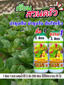โปรซื้อ 1 แถม 1 เซียนสวนครัว ฮอร์โมนฉีดพ่นทางใบ บำรุงต้น บำรุงใบ ต้นโตเร็ว หยุดปัญหา ต้นไม่โต ต้นแคระแกร็น ใบเหลือง ใบม่วง