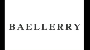 Baellery Card Wallet Zipper Wallet Men Card Holder Multi Card Bag Purse Kad Dompet Pelbagaiguna (W-048)